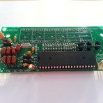 PMS 45