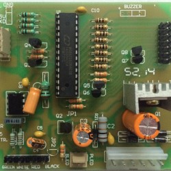 PMS T81
